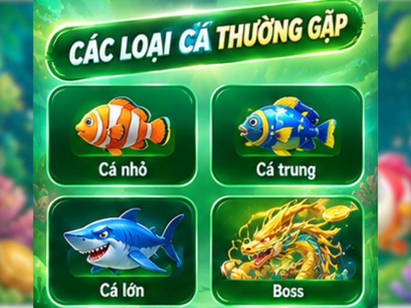 Các loại cá thường gặp trong game Bắn Cá Xèng