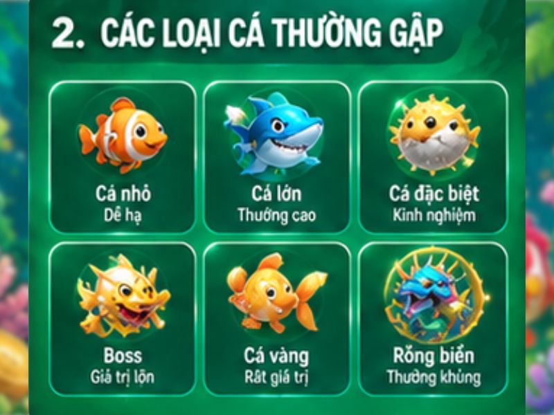 Các loại cá thường gặp