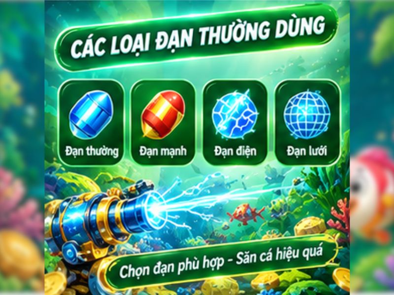 Các loại đạn thường dùng