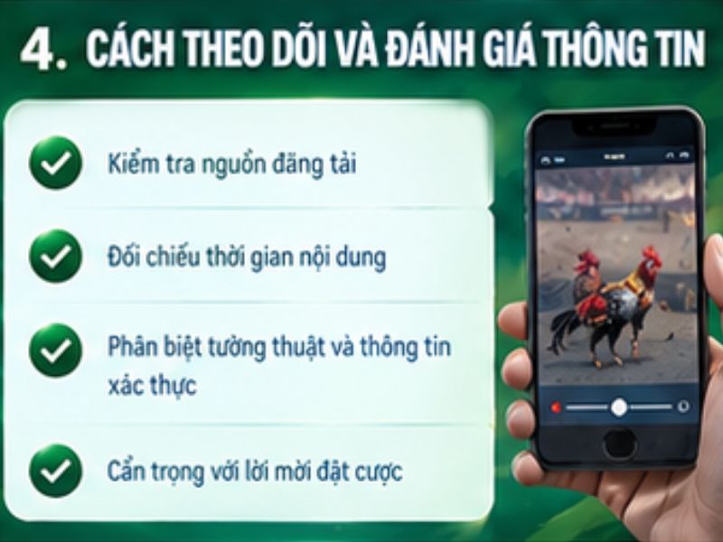 Cách theo dõi và đánh giá thông tin đá gà Thomo