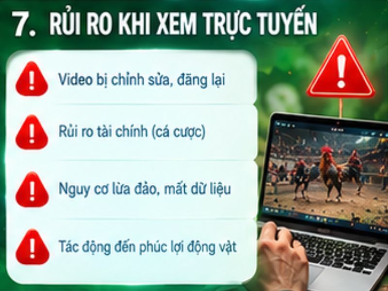 Rủi ro cần biết khi tiếp cận đá gà cựa dao trực tuyến